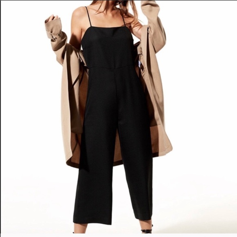 Aritzia Babaton Esteban Jumpsuit